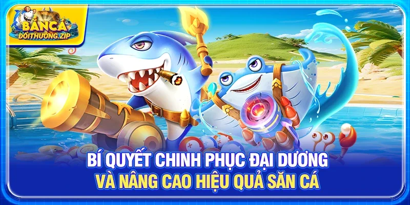 Bí quyết chinh phục đại dương và nâng cao hiệu quả săn cá