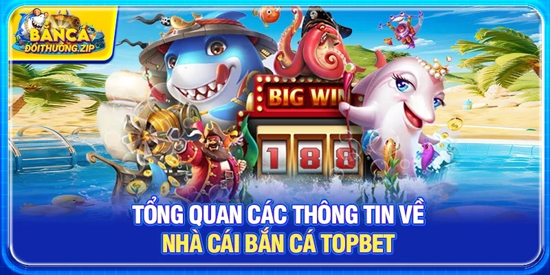Tổng quan các thông tin về nhà cái bắn cá Topbet